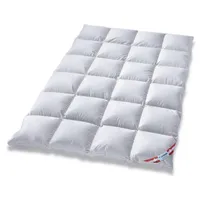 betten-traum-land Canada Außensteg Kassettendecke 100% Natur warme Winterdecke Daunendecke (200 x 200 cm)