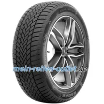 Radar Dimax Winter 165/65 R14 79T