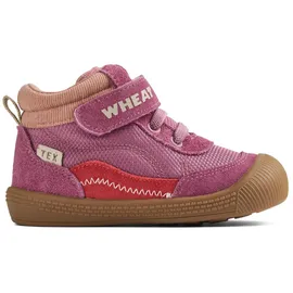 Wheat Prewalker Tody Tex Lila 23