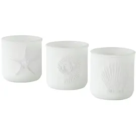 Boltze 6tlg. Windlicht White Ocean weiß Seestern Muschel Maritime Deko (2X 3 Motive)