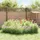 vidaXL Zaun-Set 75 x 50 cm Silber/Stahl