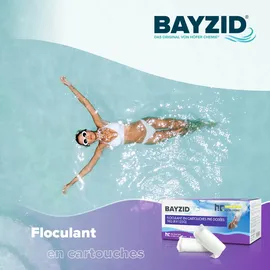 Bayzid Höfer Chemie Gmbh - 4x 1 kg Flockkartusche für Pools