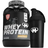 3kg Mammut Whey Protein Eiweißshake - Set inkl. Protein Shaker, Riegel, Powderbank oder Tasse (Salted Peanut, Gratis Mammut Shaker)