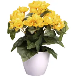 Kunstblume CREATIV GREEN "Begonie", gelb, H:28cm, Kunststoff, Kunstpflanzen, mit farbenfrohen Blüten