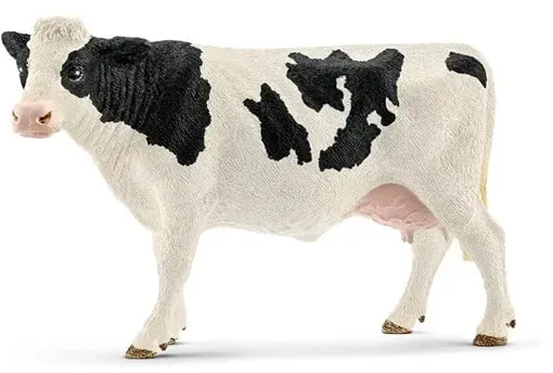 Holstein Cow