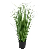 Tinkaro Poa-Gras, Grün, Kunststoff, 68 cm, Dekoration, Blumen &
