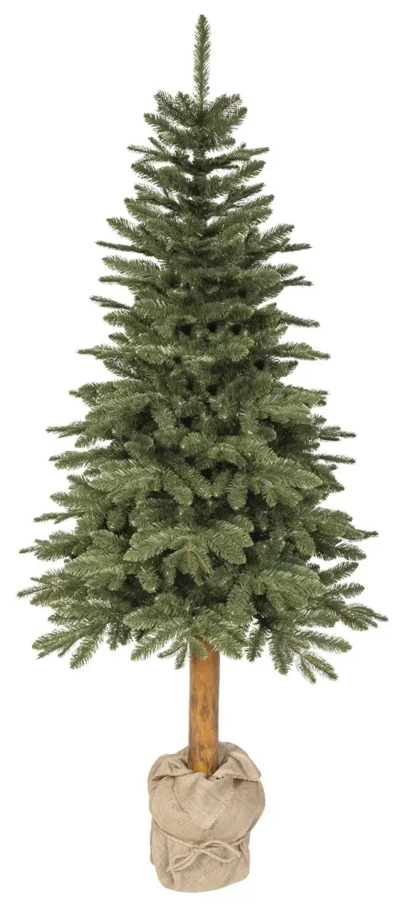 Everlands Tanne Tiaga 240cm - H ca. 240.00