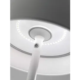 Zafferano Poldina Pro XXL rust