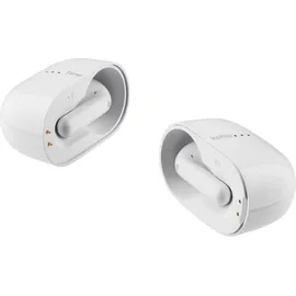 TIMEKETTLE M3 Offline Version)