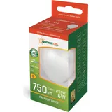 OEM LED-Birne E14 6W 750 lm warmweiß