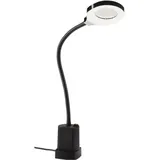 Hedi LED-Arbeitsleuchte 6 W 550 lm