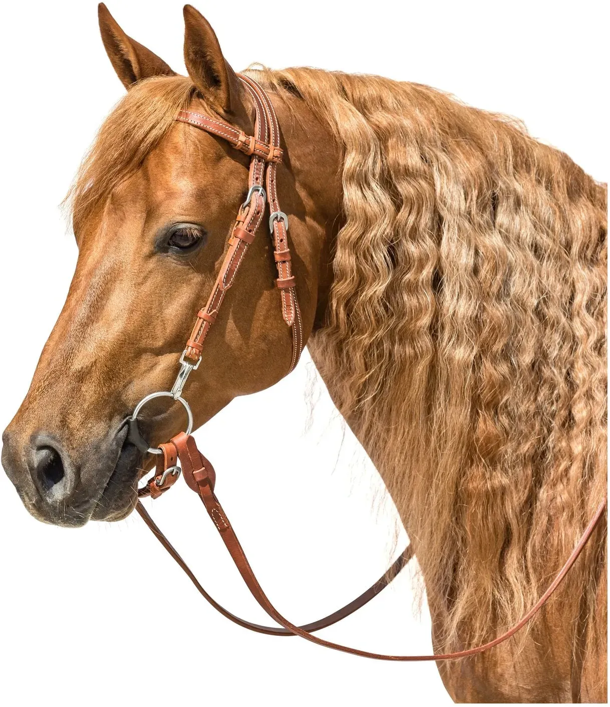 L-pro West Westerntrense Hayward natur WB