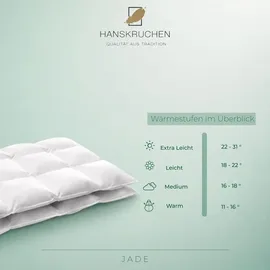 HANSKRUCHEN GmbH Hanskruchen, Jade (910 g, Daune, 155 x 220 cm)