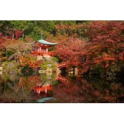 Fototapete PAPERMOON "japanischer Garten", bunt, B:4,50m L:2,80m, Vlies, Tapeten