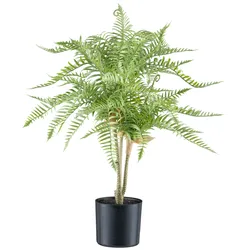 Kunstpflanze CREATIV GREEN "Goldrückenfarn", grün, H:50cm, Kunststoff, Kunstpflanzen, mit zahlreichen Farnwedeln