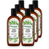 alkmene  alkmene Haarbalsam mit Bio Brennnessel - Haarwasser mit Provitamin B5 für empfindliche Kopfhaut & feines Haar 6x 250 ml