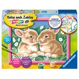 Ravensburger Malen nach Zahlen Niedliche Häschen