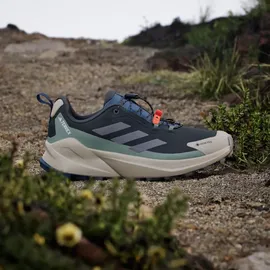 Adidas Terrex Trailmaker 2 Gore-TEX Speed Lace Wanderschuh carbongrau|grau|silbergrün 47 1/3
