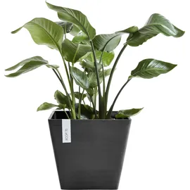 Ecopots Rotterdam Dunkelgrau 50 cm