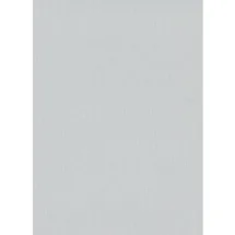 Erismann Vliestapete Uni Hellgrau 53 cm x 10 m 300 g Grau 10072-31