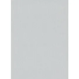 Erismann Vliestapete Uni Hellgrau 53 cm x 10 m 300 g Grau 10072-31