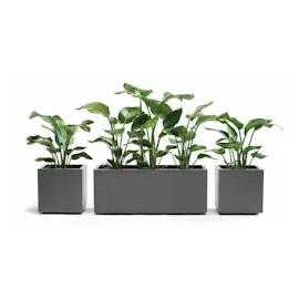 Euro3Plast Greener Kebe 100 x 40 x 40 cm Anthrazit