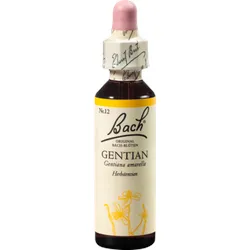 Bachblüten Gentian Tropfen 20 ml
