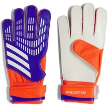 adidas Predator Training Torwarthandschuhe Lucid Blue / Solar Red / White 8 1/2