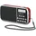 TechniSat TECHNIRADIO RDR rot