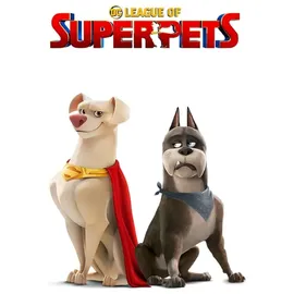 HL Großhandel DC League of Super Pets Plüschtier 27 cm Mehrfarbig