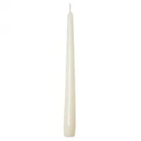 Sovie CANDLES Spitzkerzen 24 cm Champagner 50 St.