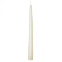 Sovie CANDLES Spitzkerzen 24 cm Champagner 50 St.