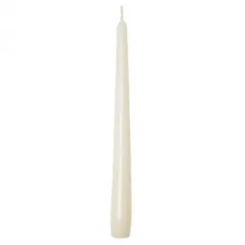 Sovie CANDLES Spitzkerzen 24 cm Champagner 50 St.