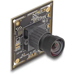 Delock Überwachungskamera - Karte - Farbe - 8,3 MP