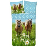 ESPiCO Kinderbettwäsche Pferde Trendy Bedding, Renforcé, 2 teilig, Tiermotiv, Haflinger, Koppel bunt