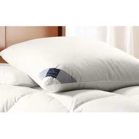billerbeck Picco Kopfkissen 80 x 80 cm Weiß