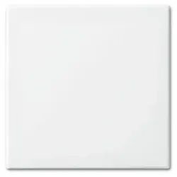 Wippe 1t Schalter Busch-balance SI aws glz