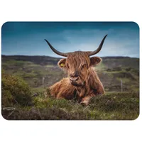 Platzset mit Unterseite aus Kork, Stier, Highland, wunderschönes Tiermotiv, Naturfoto, groß, 39,5 x 28,5 cm