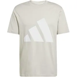 adidas Essentials Big Logo Kurzarm-T-Shirt Wonder Alumina / White S