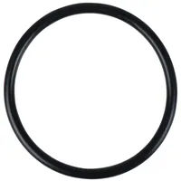 KS Tools 515.5410-R029P O-Ring