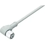 BINDER 77 3734 0000 40404-0500 Sensor-/Aktor-Steckverbinder, konfektioniert M12 Kupplung, gewinkelt 1 St.