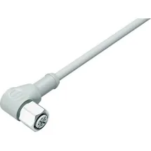 BINDER 77 3734 0000 40404-0500 Sensor-/Aktor-Steckverbinder, konfektioniert M12 Kupplung, gewinkelt 1 St.