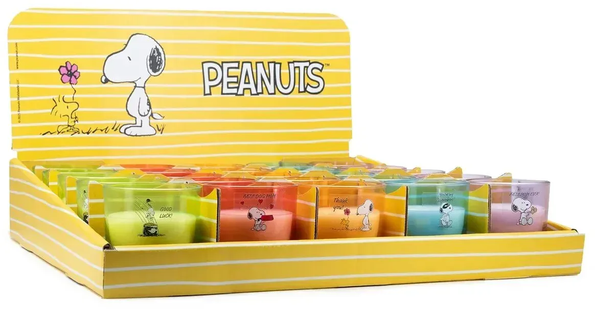 Peanuts Thekendisplay 25 x 100g