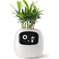 Plantsio Plantsio, Blumentopf, Ivy Smart Planter