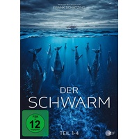 Fernsehjuwelen Der Schwarm - Teil 1-4 (Fernsehjuwelen) [2 DVDs]