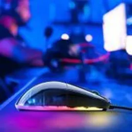 Endgame Gear XM1 RGB Dark Reflex