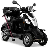 E-Quad 25 V.2 1000 Watt 25 km/h schwarz