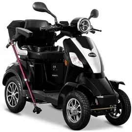 Rolektro E-Quad 25 V.2 1000 Watt 25 km/h schwarz