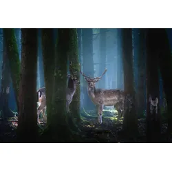 Fototapete PAPERMOON "Photo-Art PATRICK AUREDNIK, REHE", bunt, B:4,50m L:2,80m, Vlies, Tapeten