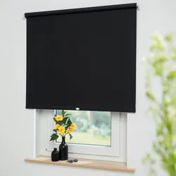Springrollo LIEDECO "Uni" Gr. 4, schwarz, B:132cm H:180cm, Kunststoff, Metall, Polyester, Rollos, Rollo Hergestellt in Deutschland